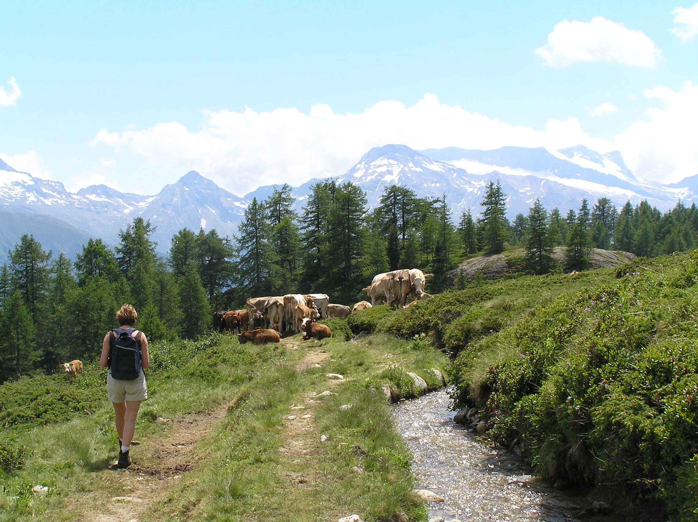 Summer activities in Belalp
